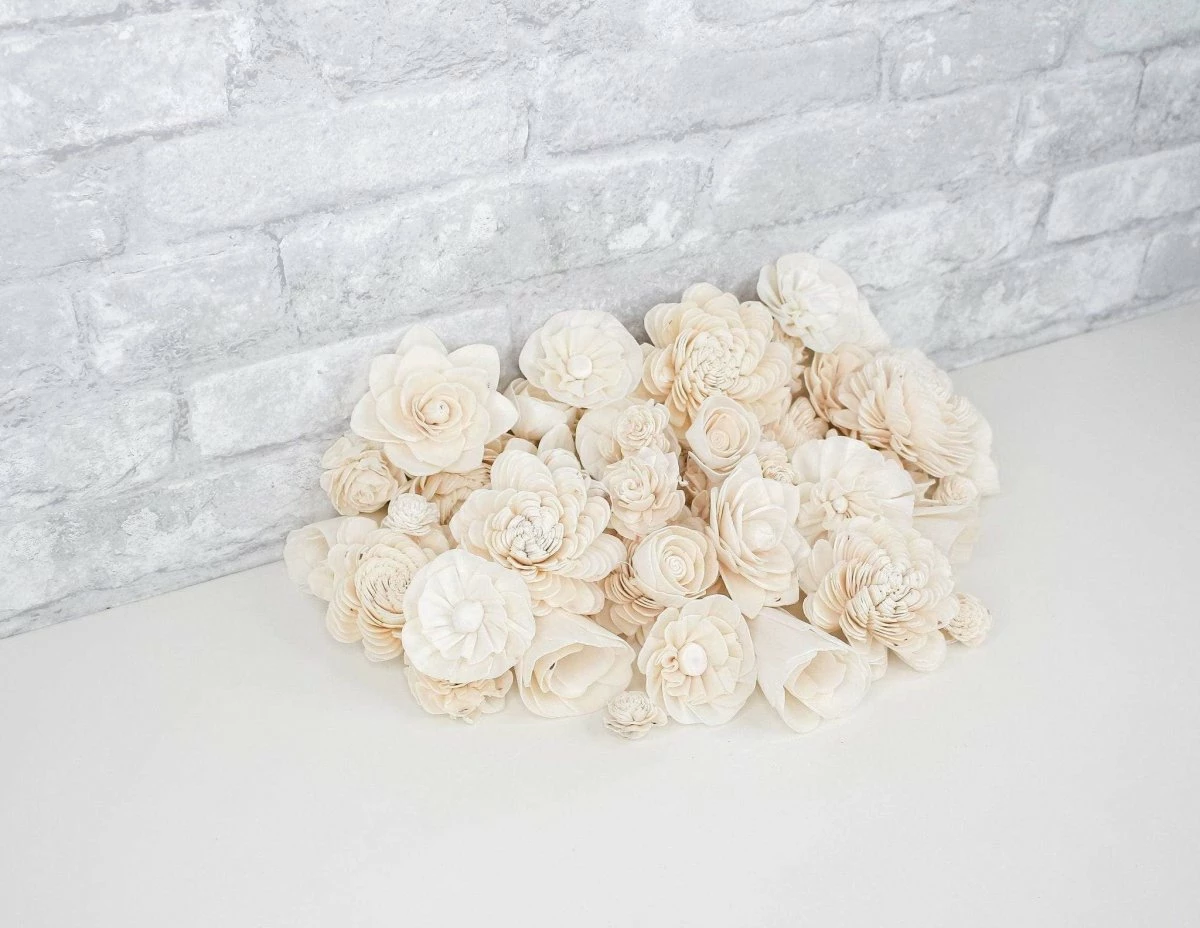 50 Random Assortment - No Bark 3 50 Random Assortment - No Bark - Image 3