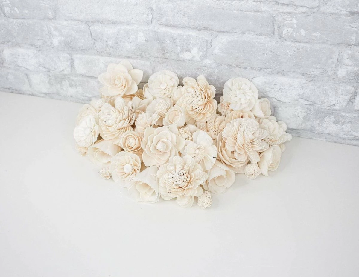 50 Random Assortment - No Bark 4 50 Random Assortment - No Bark - Image 4