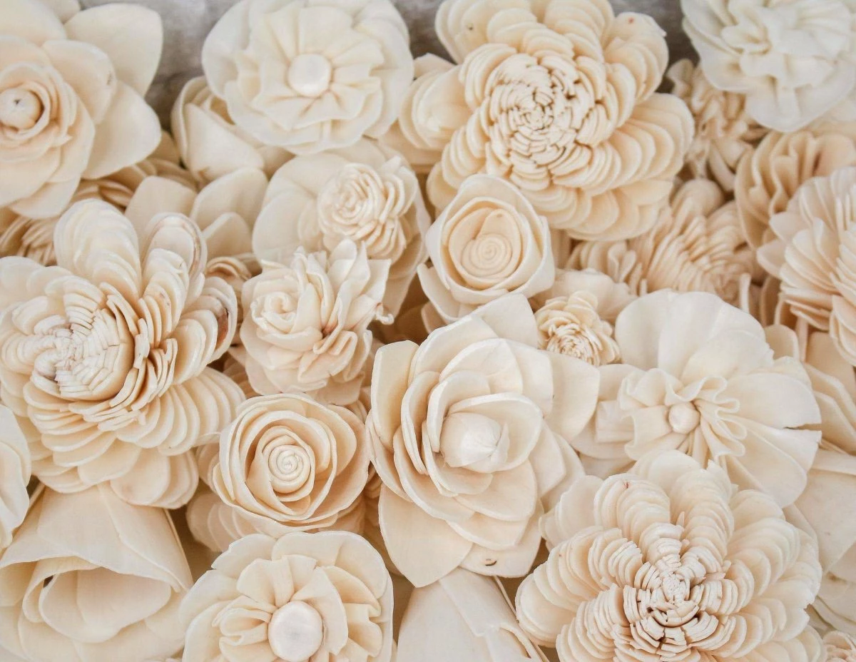 50 Random Assortment - No Bark 2 50 Random Assortment - No Bark - Image 2