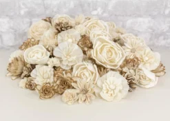 5000 Flower Random Assortment 6 5000 Flower Random Assortment -plant sale shop 5000 flower random assortment 995746