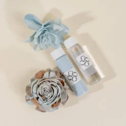 Dye Pack Combo - Eloise -plant sale shop dye pack combo eloise 763849