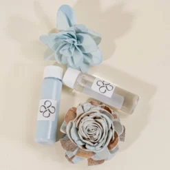 Dye Pack Combo - Eloise -plant sale shop dye pack combo eloise 942107