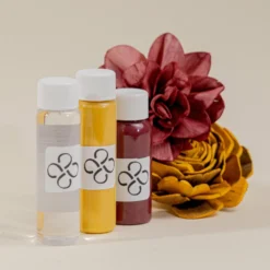 Dye Pack Combo - Sunflower Daze -plant sale shop dye pack combo sunflower daze 213275