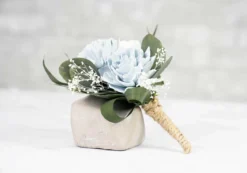 plant sale shop 22 Eloise Groom's Boutonniere*