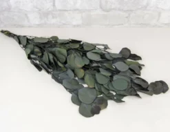 Greenery Sample Kit -plant sale shop greenery sample kit 665894