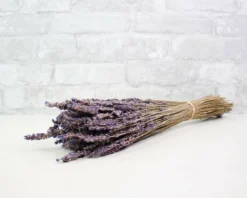 Greenery Sample Kit -plant sale shop greenery sample kit 928439