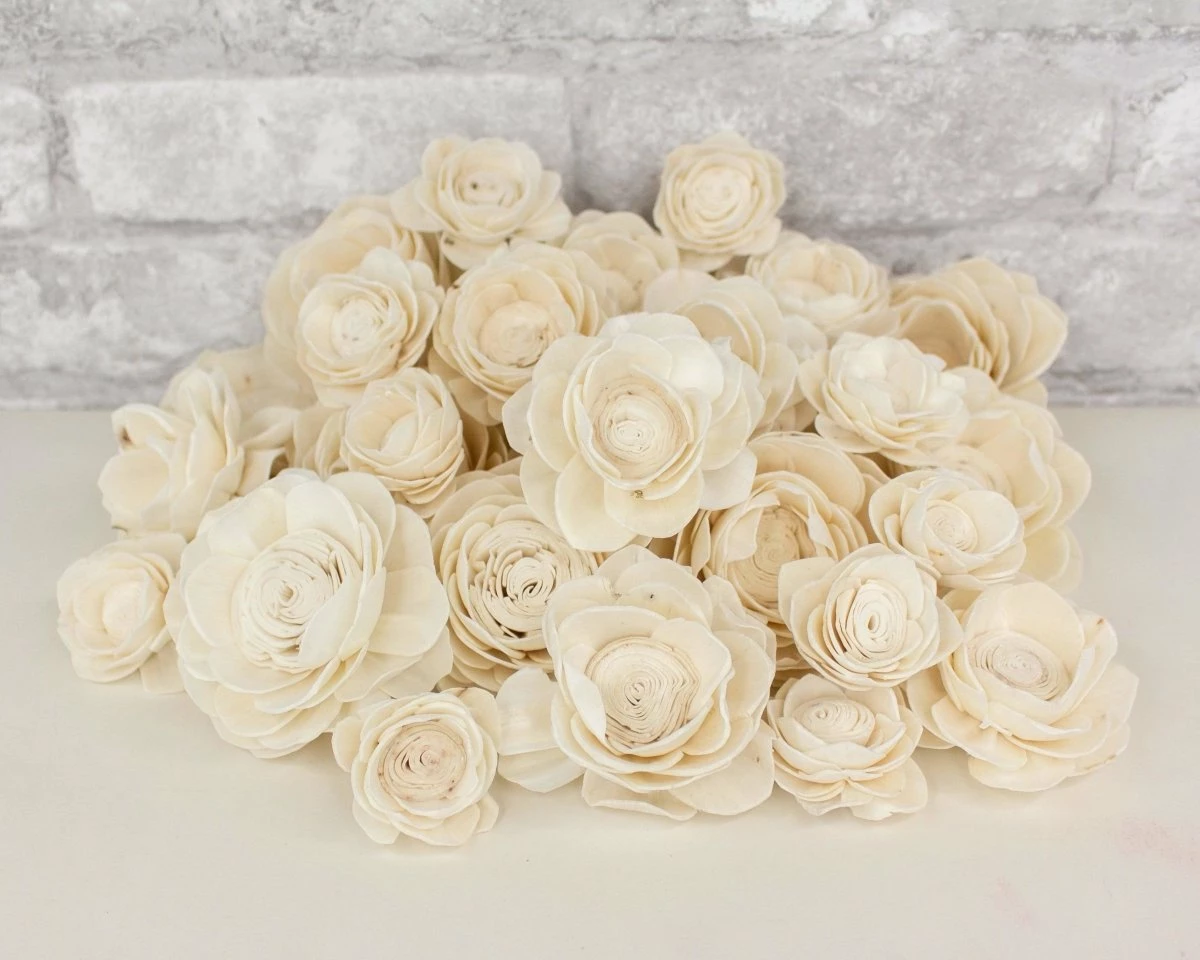 Lotus Variety Pack 3 Lotus Variety Pack - Image 3