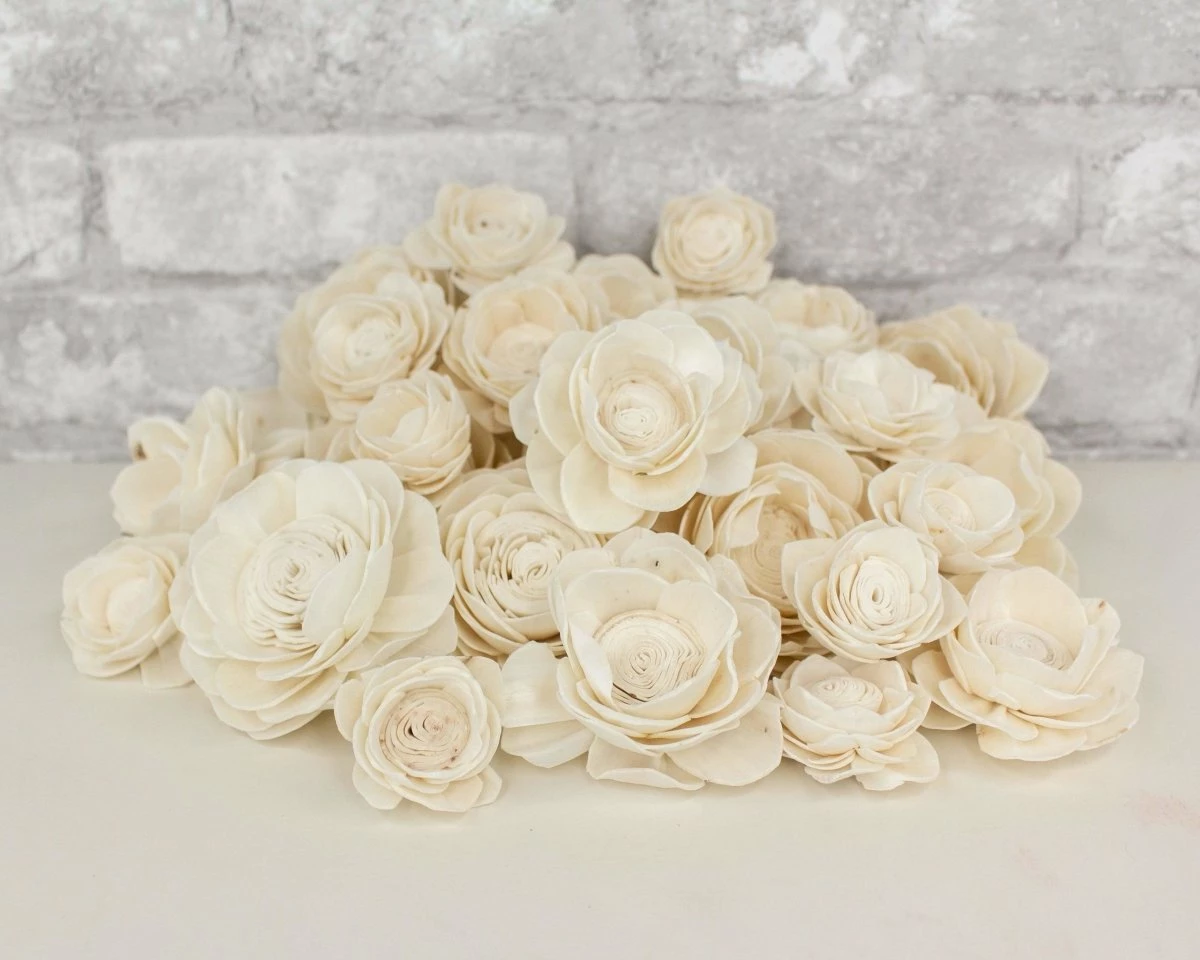 Lotus Variety Pack 1 Lotus Variety Pack