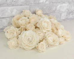 Lotus Variety Pack 7 Lotus Variety Pack -plant sale shop lotus variety pack 962110