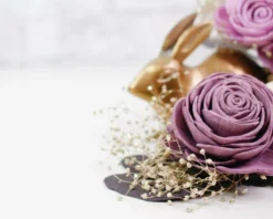 Melrose Magic Boutonniere (Set Of 3) -plant sale shop melrose magic boutonniere set of 3 494240