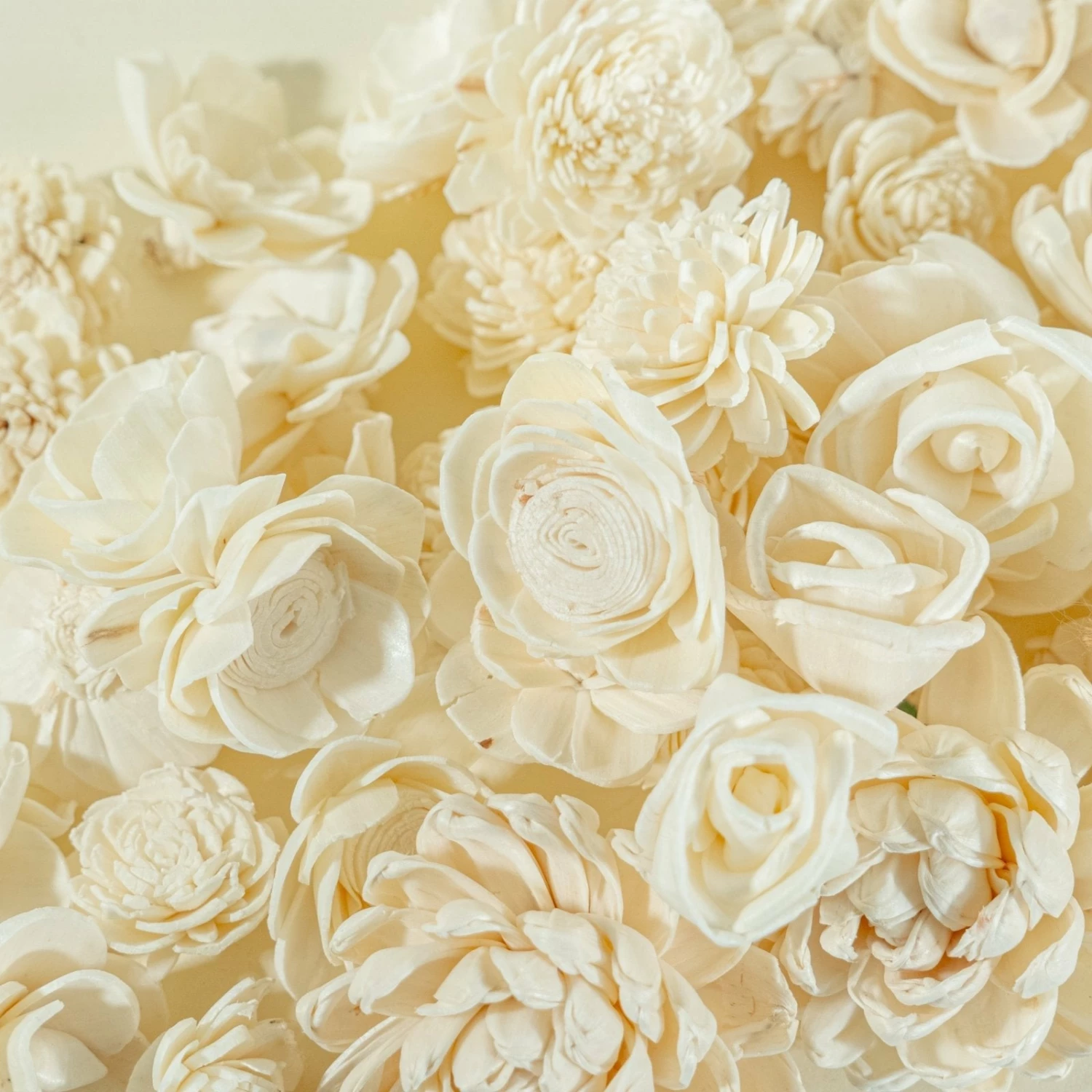 Mini Flower Assortment (50 Flowers) - No Bark 4 Mini Flower Assortment (50 Flowers) - No Bark - Image 4