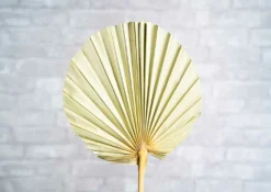 Palm Round Ex-Large (5 Pack)