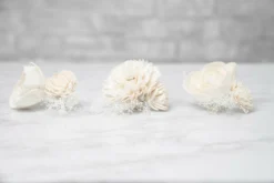 Pure Elegance Boutonniere (Set Of 3) 8 Pure Elegance Boutonniere (Set Of 3) -plant sale shop pure elegance boutonniere kit set of 3 867205