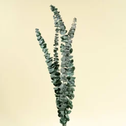 Satin Washed Eucalyptus - Blue Sky