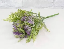 Skimmia Bush - Purple